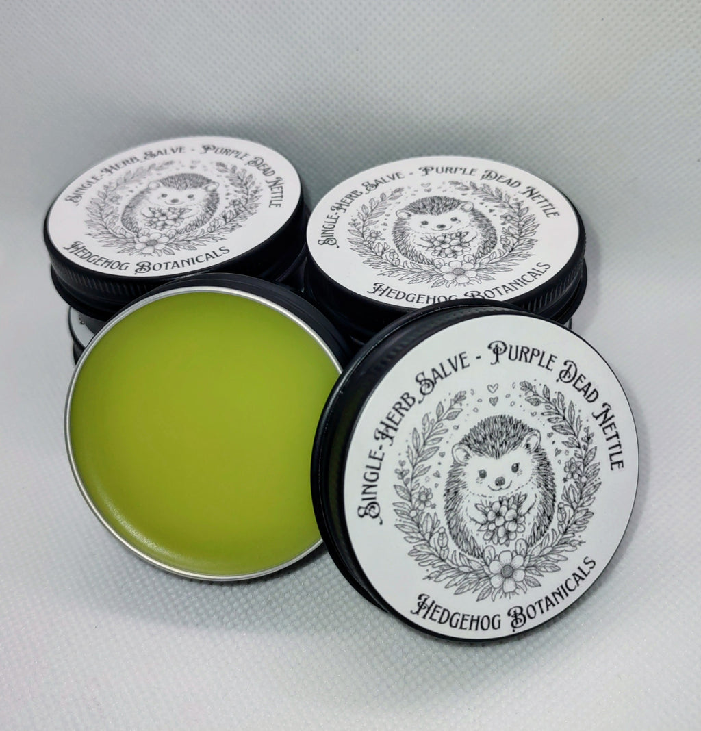 Single-Herb Salve - Purple Dead Nettle